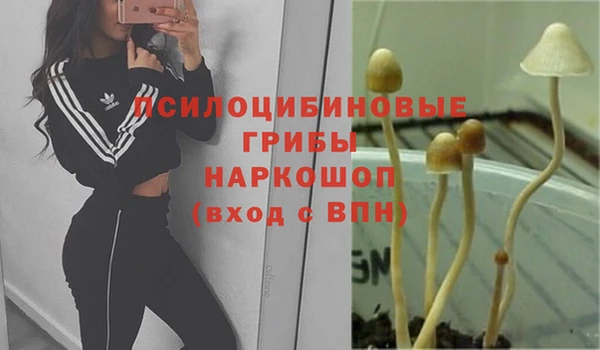 стаф Сафоново