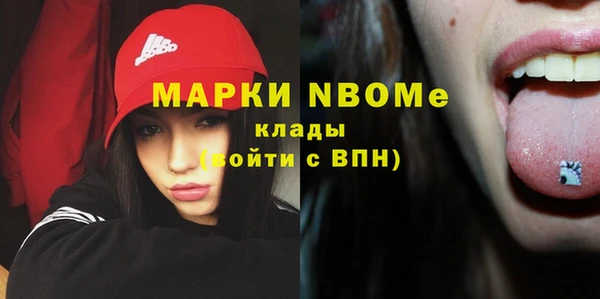 стафф Россошь