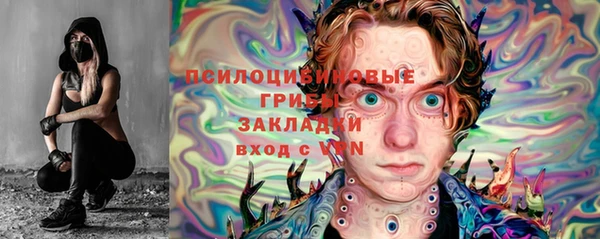 трава Саяногорск