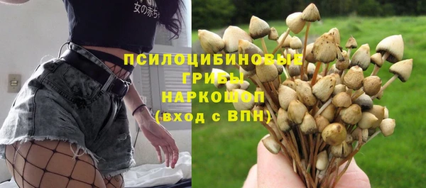 синтетический гашиш Ростов