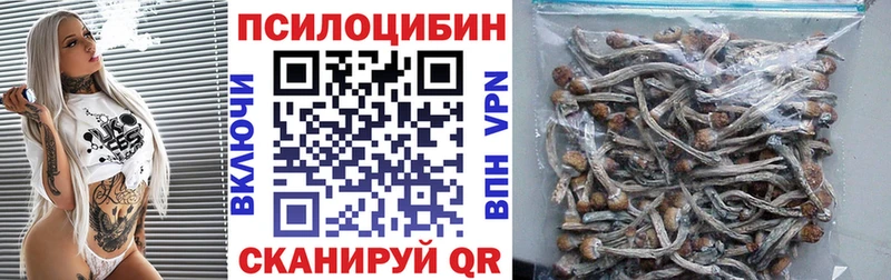 Купить закладки  Спас-Деменск  Псилоцибиновые грибы Psilocybe 